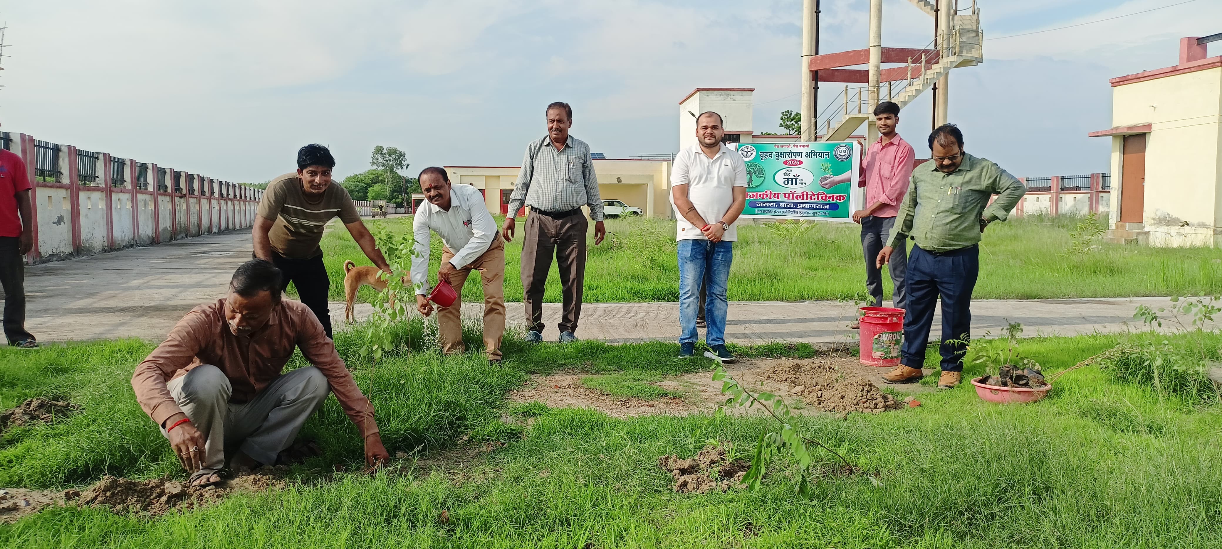 Tree Plantation - 2025